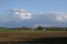 Felder und Pferdekoppel bei Frankenried